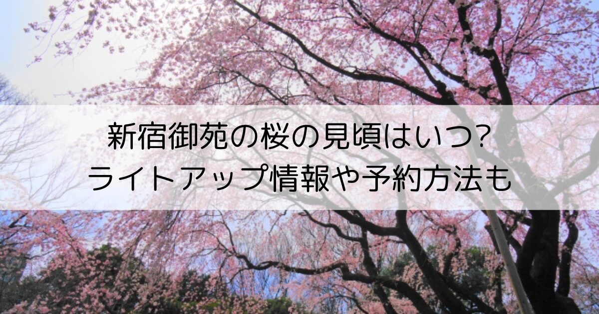 新宿御苑のさくら