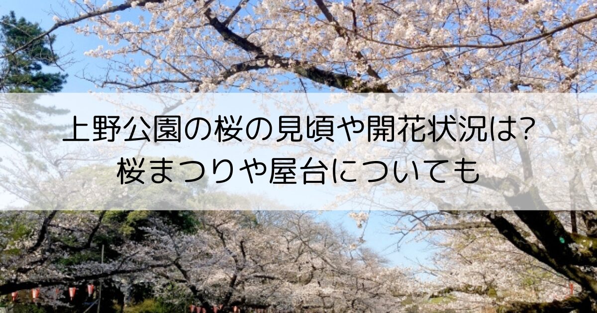 上野公園の桜
