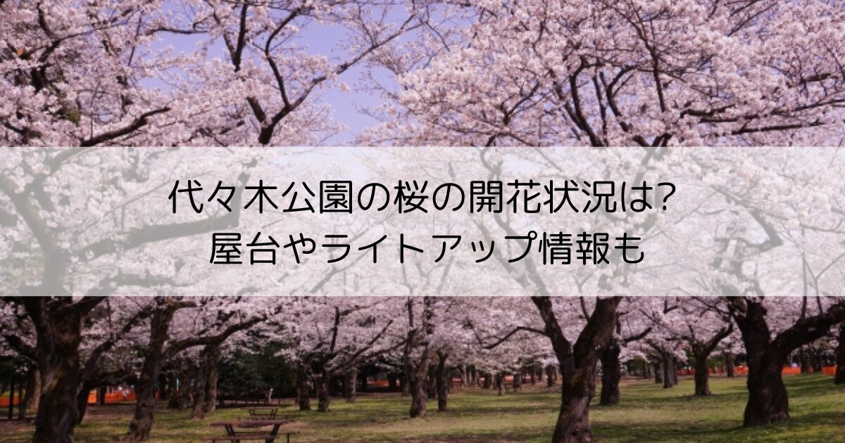 代々木公園の桜