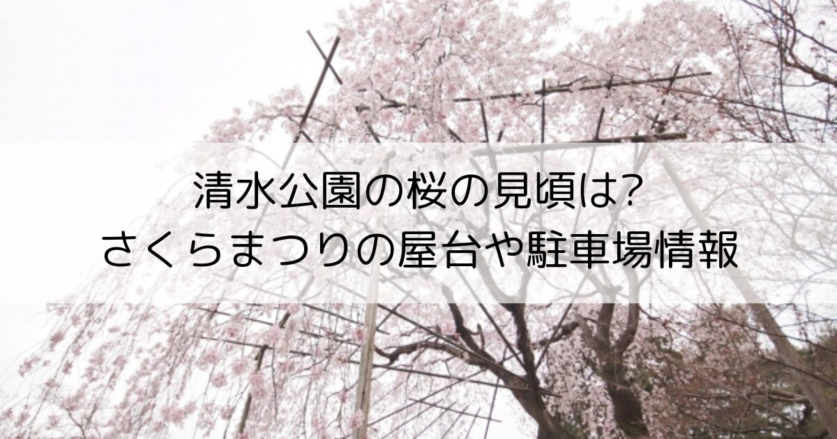 清水公園の桜