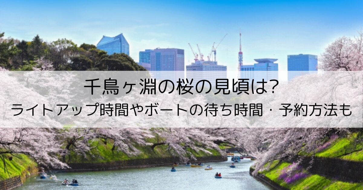 千鳥ヶ淵の桜