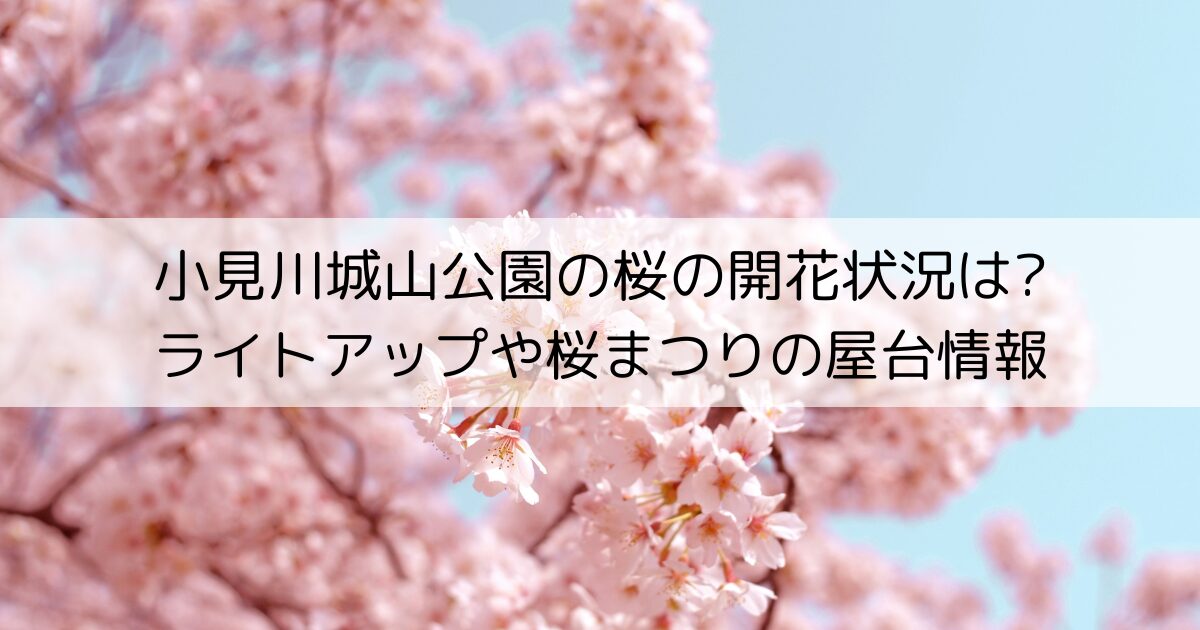 小見川城山公園の桜