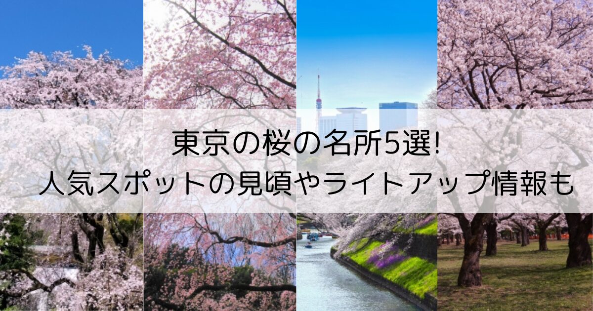 東京の桜の名所