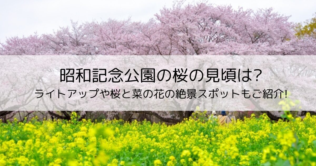 昭和記念公園の桜