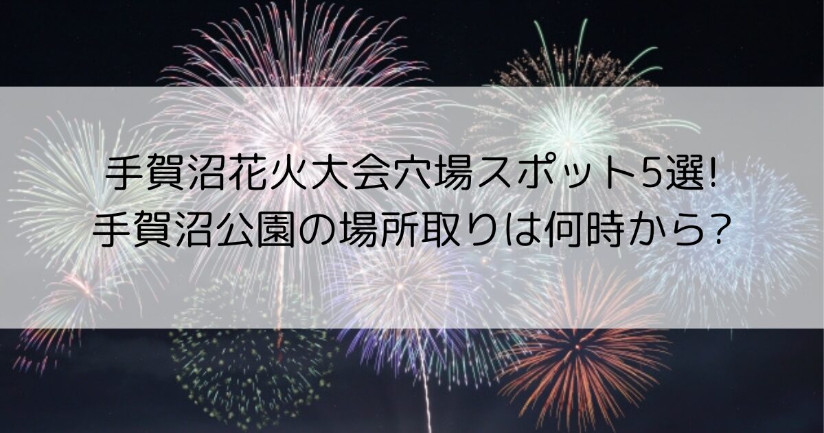 手賀沼花火大会　穴場