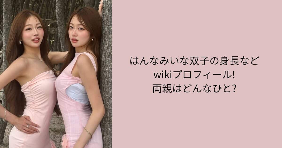 はんなみいな　プロフィール