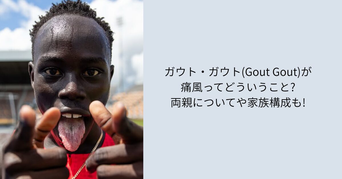 ガウトガウト　痛風
