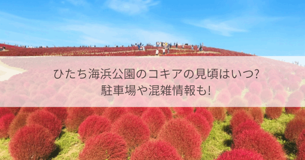 ひたち海浜公園　コキア