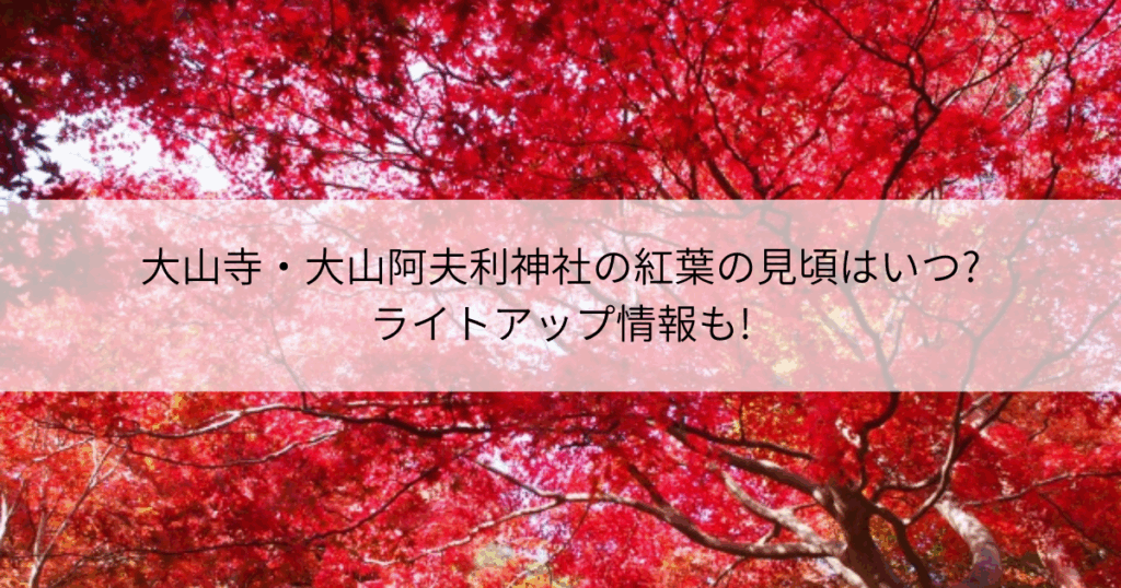大山寺　大山阿夫利神社　紅葉