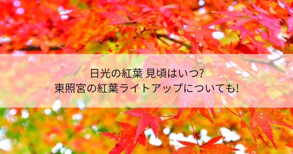 日光　紅葉　見頃