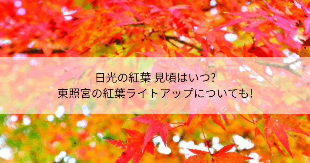 日光　紅葉　見頃