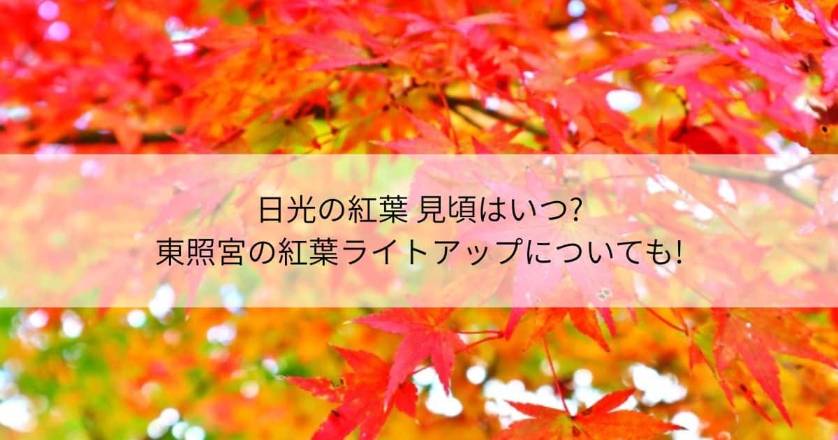 日光　紅葉　見頃