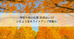 神宮外苑　紅葉