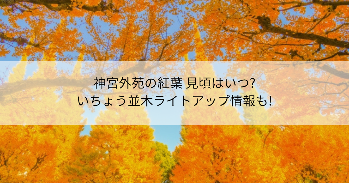 神宮外苑　紅葉