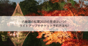 六義園　紅葉　見頃