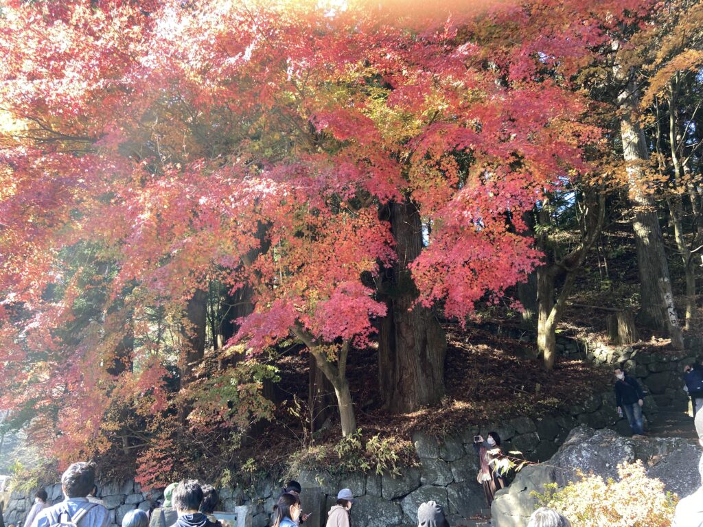 東照宮　紅葉