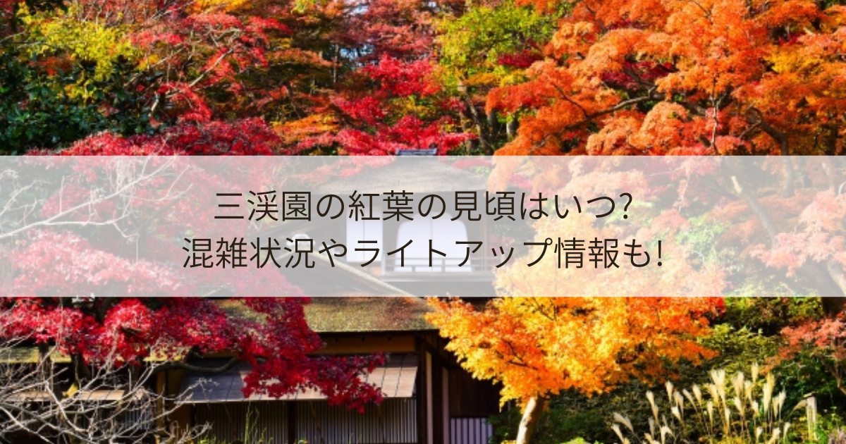 三渓園　紅葉　見頃