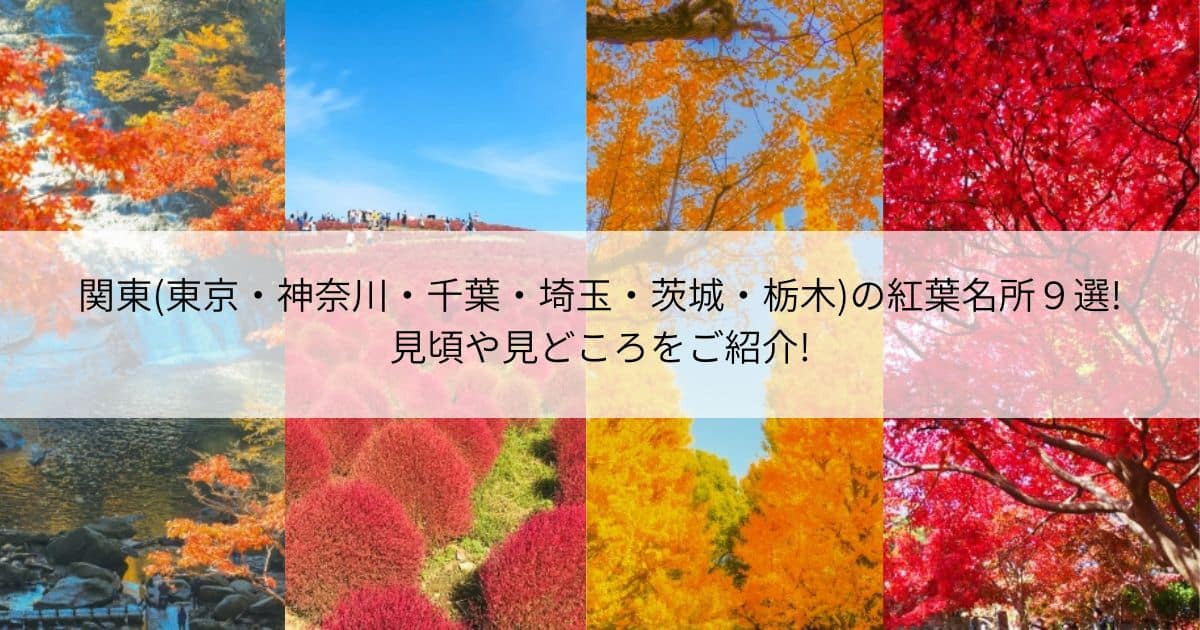 関東の紅葉 名所 見頃