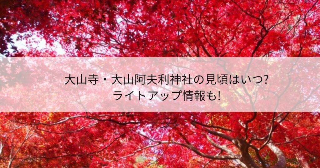 大山寺　大山阿夫利神社　見頃