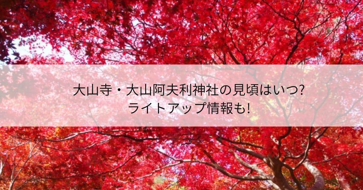 大山寺 大山阿夫利神社 見頃