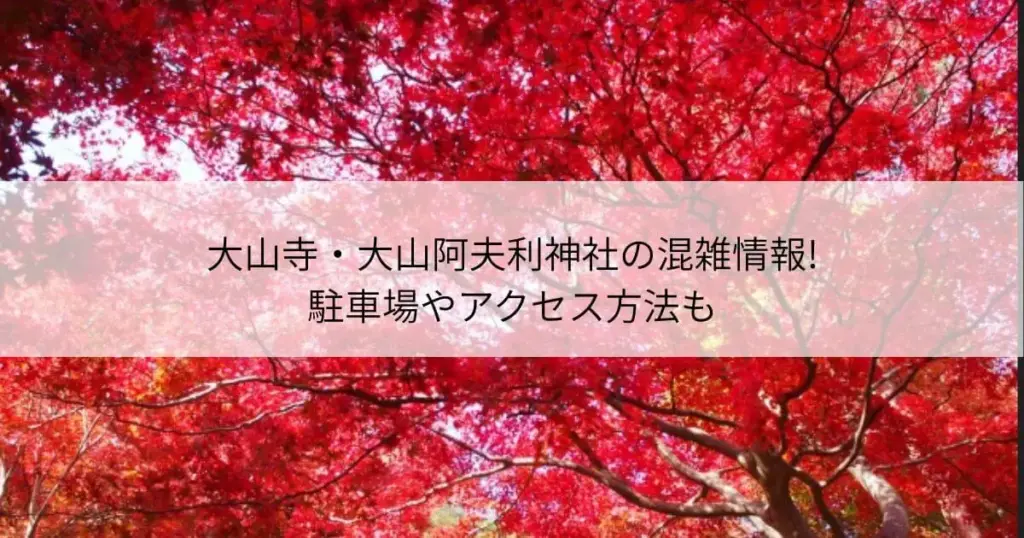 大山寺　大山阿夫利神社　紅葉　混雑