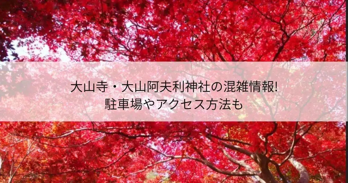 大山寺 大山阿夫利神社 紅葉 混雑