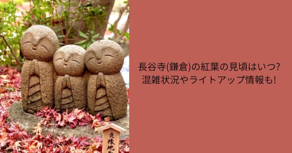 長谷寺(鎌倉)紅葉　見頃