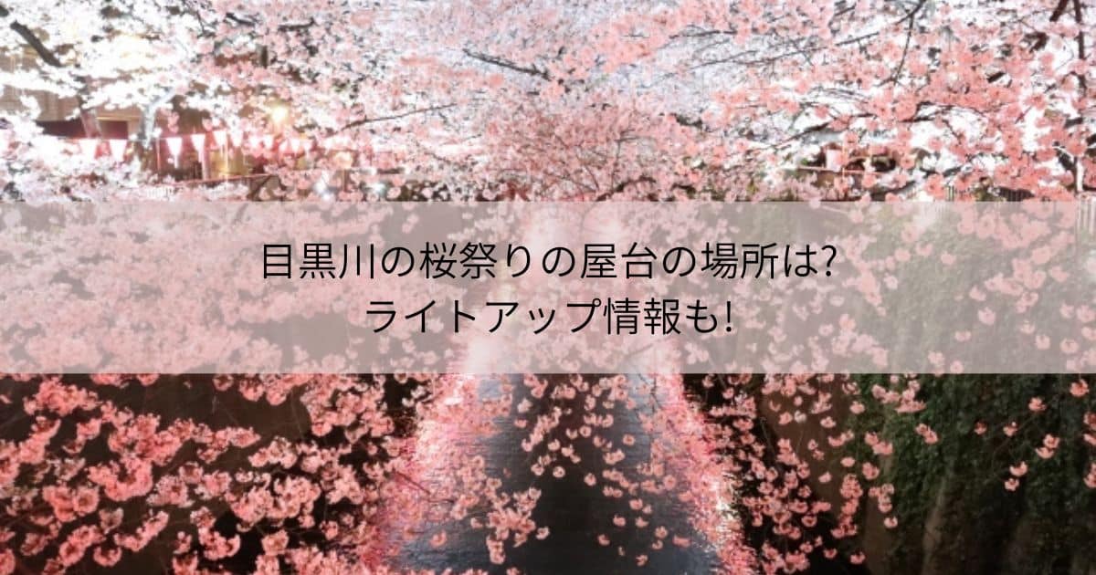 目黒川 桜まつり 屋台 ライトアップ