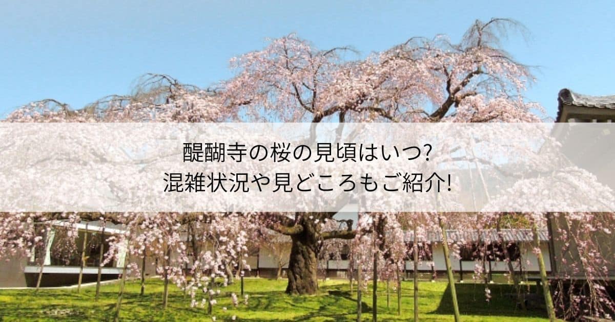 醍醐寺 桜 見頃 混雑状況 見どころ